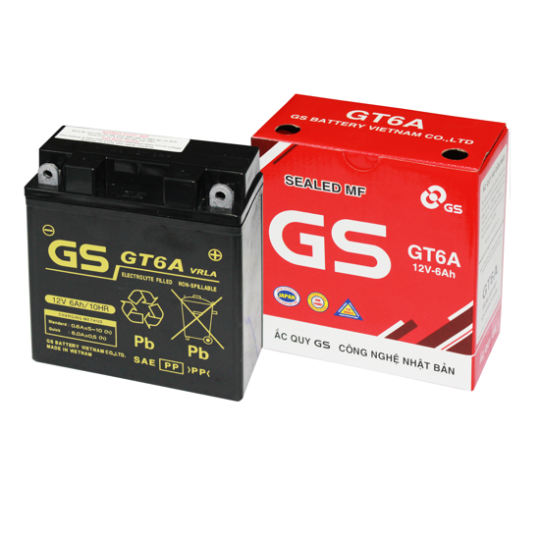 Bình ắc quy GS GT6A